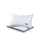 Custom 100% polyester hollow logo pillow